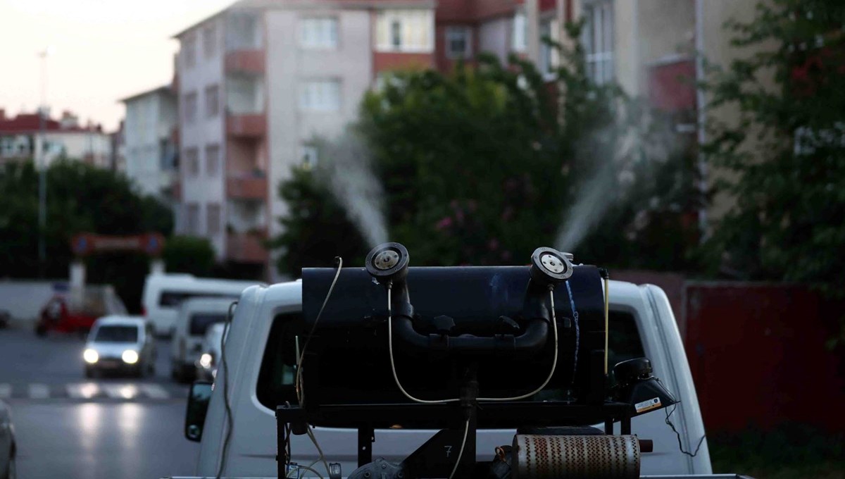İstanbul'da 'Aedes' cinsi sivrisinekle mücadele